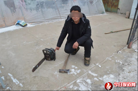 (亞布力稿)亞布力分局森偵大隊快速破獲一起盜伐林木案件421.png