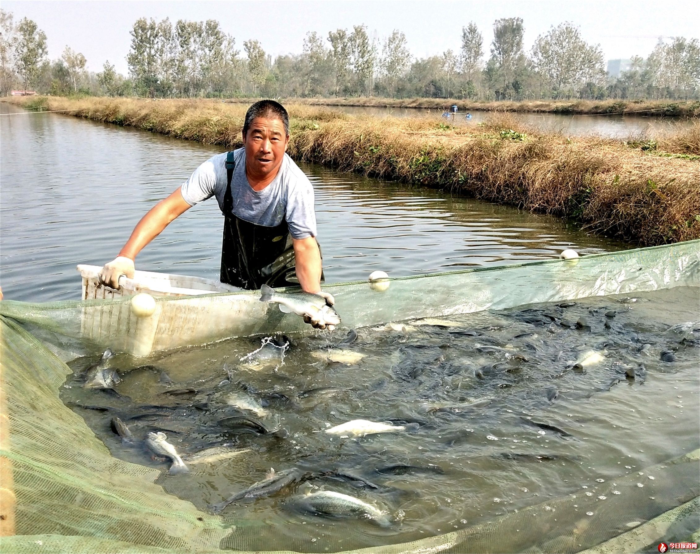 捕魚(yú)4.jpg