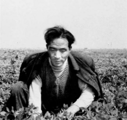 焦裕祿精神永不過時1971.png